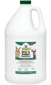Bobbex Deer and Rabbit Repellent: 3.78 Litre Concentrate